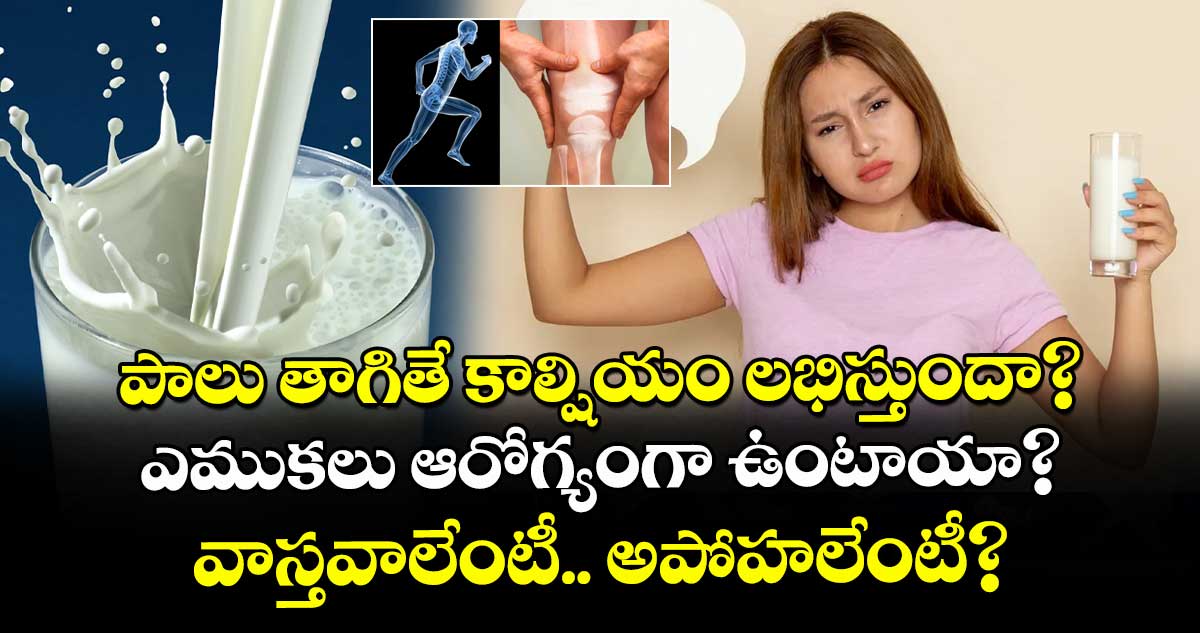 Health: పాలు తాగితే కాల్షియం లభిస్తుందా? ఎముకలు ఆరోగ్యంగా ఉంటాయా? వాస్తవాలేంటీ.. అపోహలేంటీ?