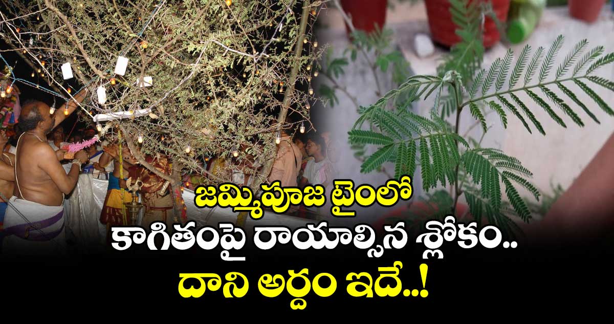 Dasara2025  : జమ్మిపూజ టైంలో కాగితంపై రాయాల్సిన శ్లోకం..  దాని అర్దం ఇదే..!