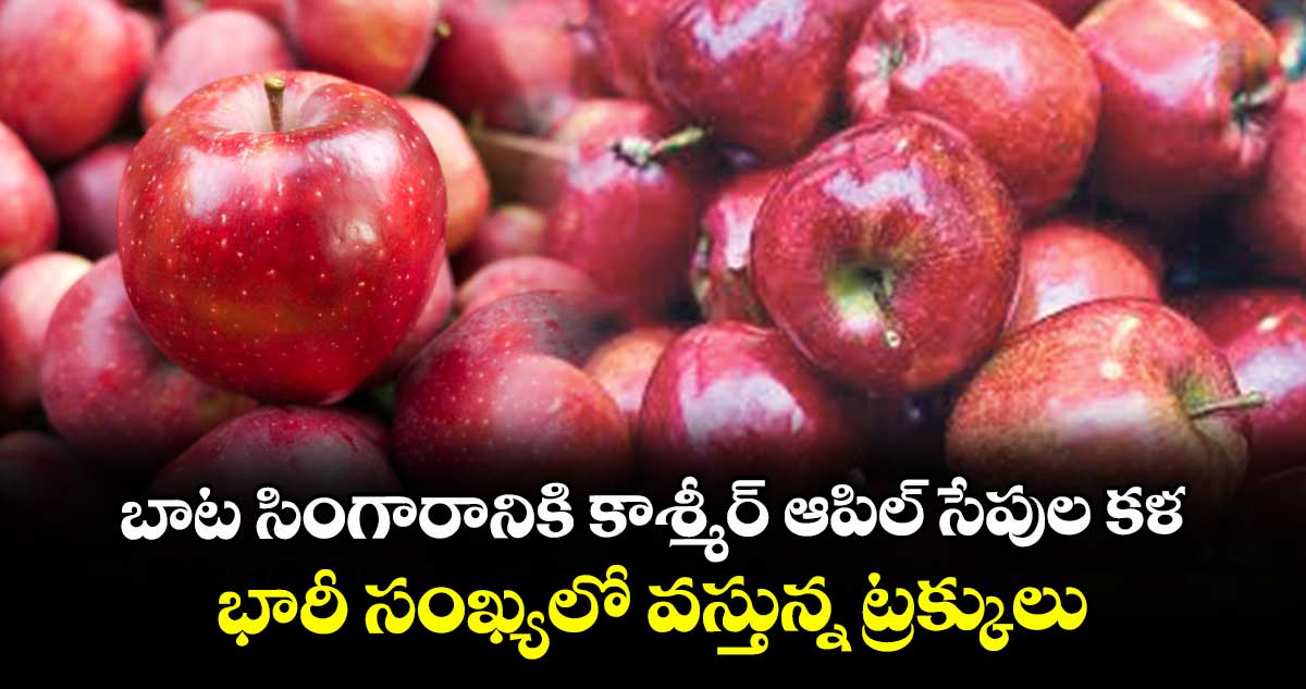 బాట సింగారానికి కాశ్మీర్ ఆపిల్ సేపుల కళ ..భారీ సంఖ్యలో వస్తున్న ట్రక్కులు