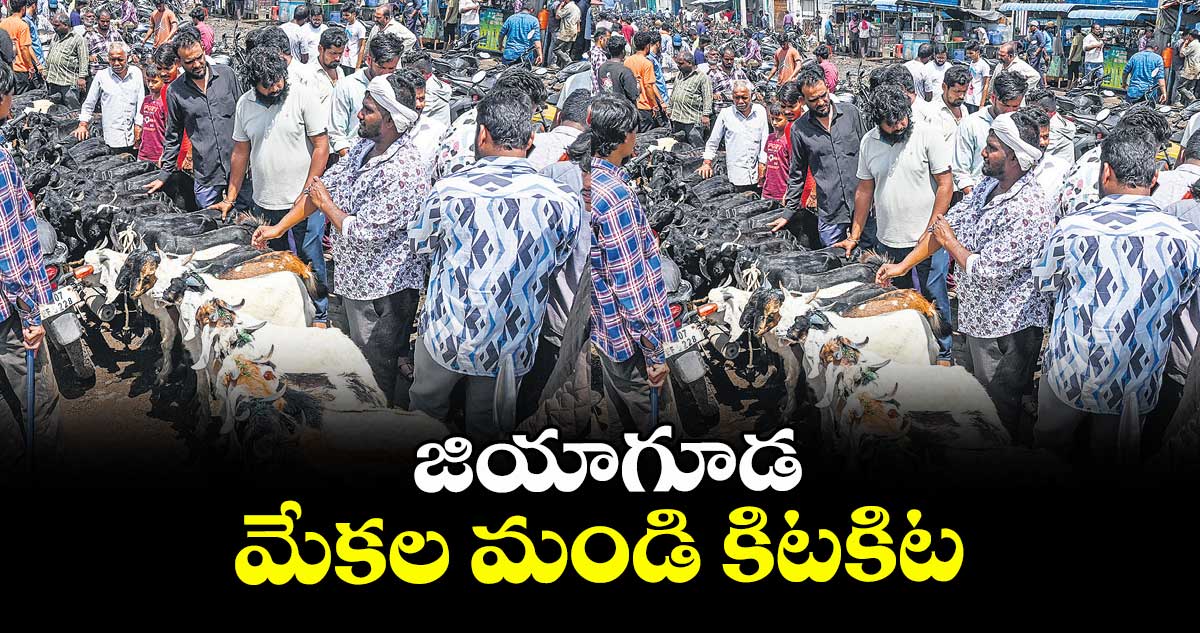  జియాగూడ మేకల మండి కిటకిట