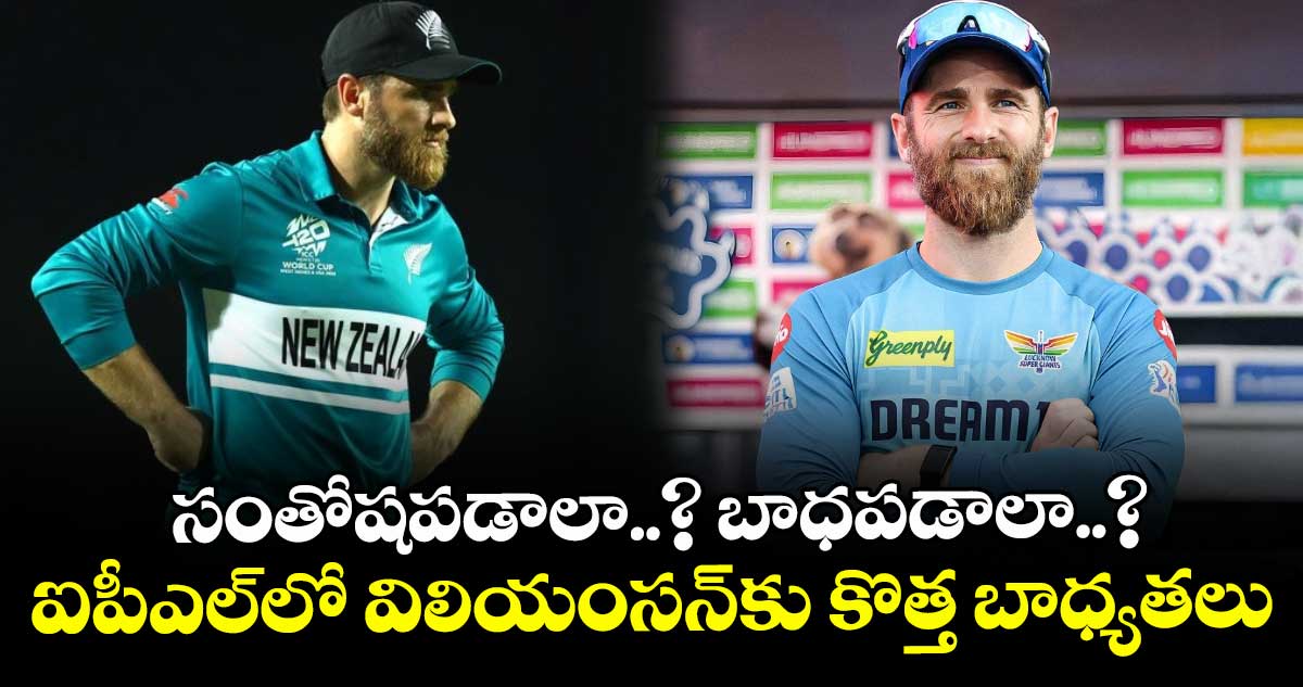 Kane Williamson: సంతోషపడాలా..? బాధపడాలా..?: ఐపీఎల్‌లో విలియంసన్‌కు కొత్త బాధ్యతలు
