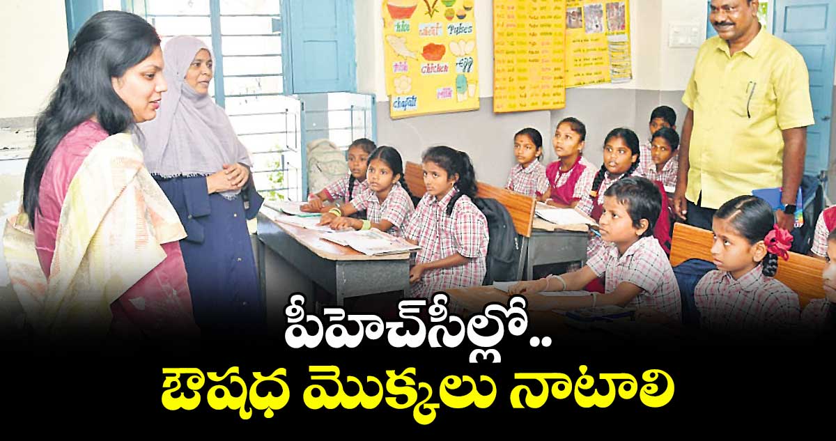 పీహెచ్సీల్లో ఔషధ మొక్కలు నాటాలి : కలెక్టర్ పమేలా సత్పతి