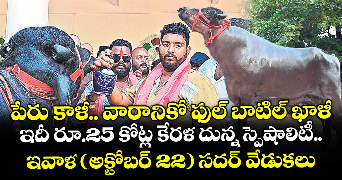 పేరు కాళీ.. వారానికో ఫుల్ బాటిల్ ఖాళీ.. ఇదీ రూ.25 కోట్ల కేరళ దున్న స్పెషాలిటీ.. ఇవాళ (అక్టోబర్ 22) సదర్ వేడుకలు