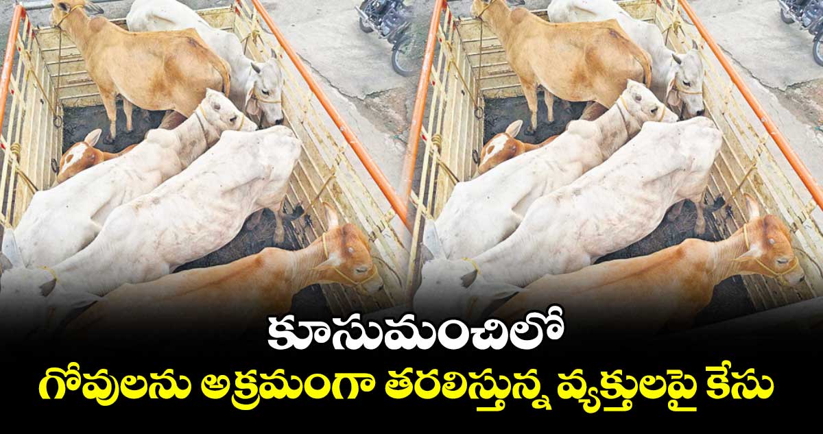 కూసుమంచిలో గోవులను అక్రమంగా తరలిస్తున్న వ్యక్తులపై కేసు