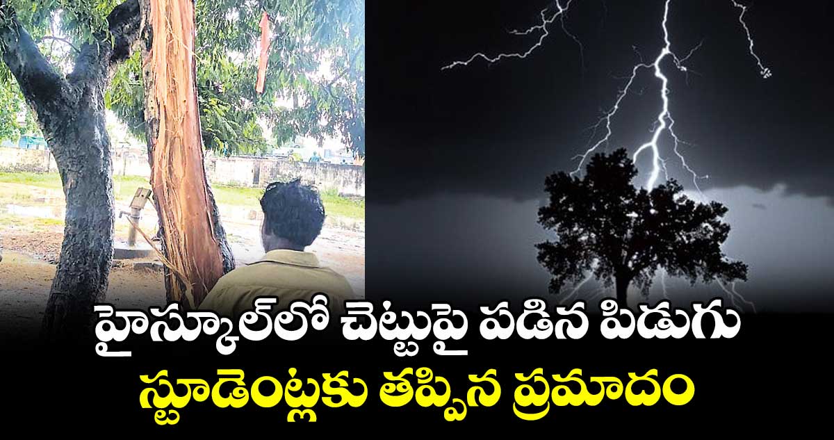 హైస్కూల్‌‌‌‌లో  చెట్టుపై పడిన పిడుగు ..స్టూడెంట్లకు తప్పిన ప్రమాదం