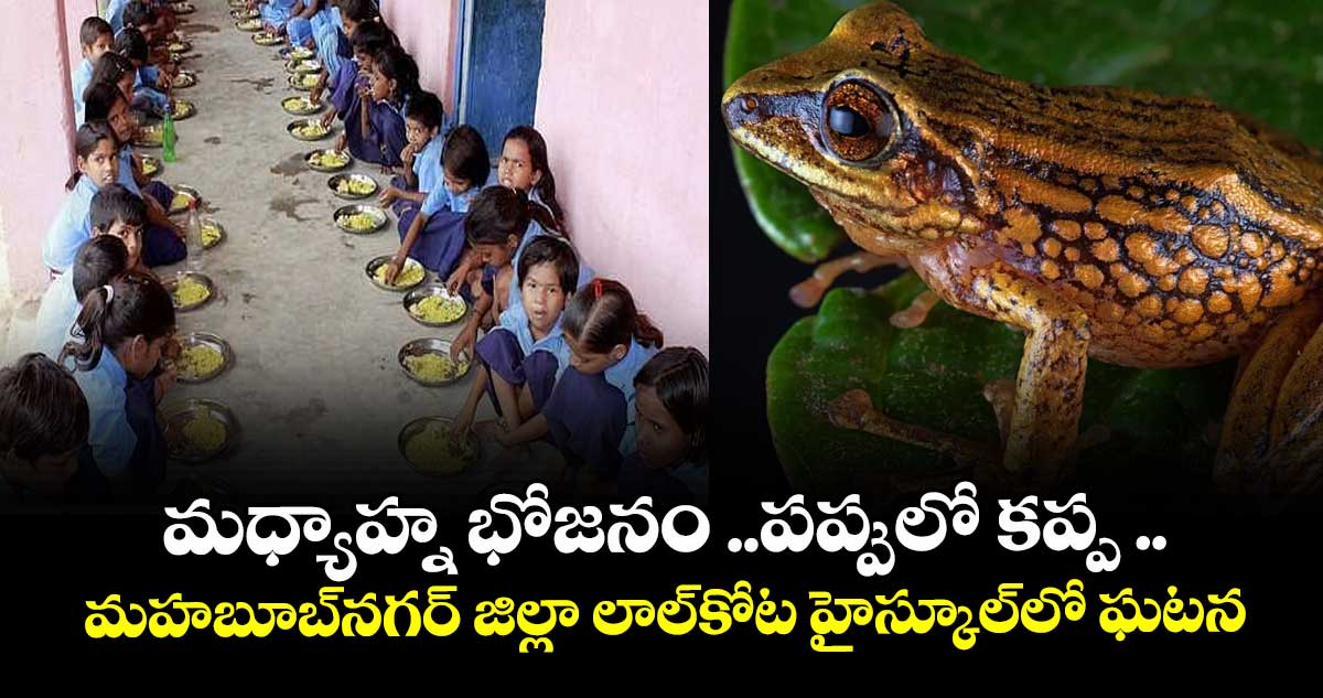 మధ్యాహ్న భోజనం ..పప్పులో కప్ప ..మహబూబ్నగర్ జిల్లా లాల్కోట హైస్కూల్లో ఘటన