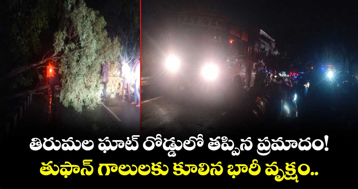 తిరుమల ఘాట్ రోడ్డులో తప్పిన ప్రమాదం! తుఫాన్ గాలులకు కూలిన భారీ వృక్షం..