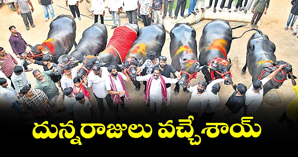 దున్నరాజులు వచ్చేశాయ్