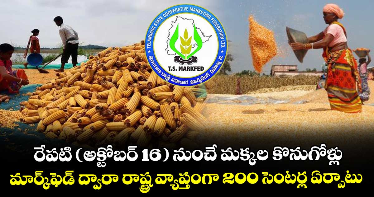 రేపటి ( అక్టోబర్ 16 ) నుంచే మక్కల కొనుగోళ్లు.. మార్క్ఫెడ్ ద్వారా రాష్ట్ర వ్యాప్తంగా 200 సెంటర్ల ఏర్పాటు