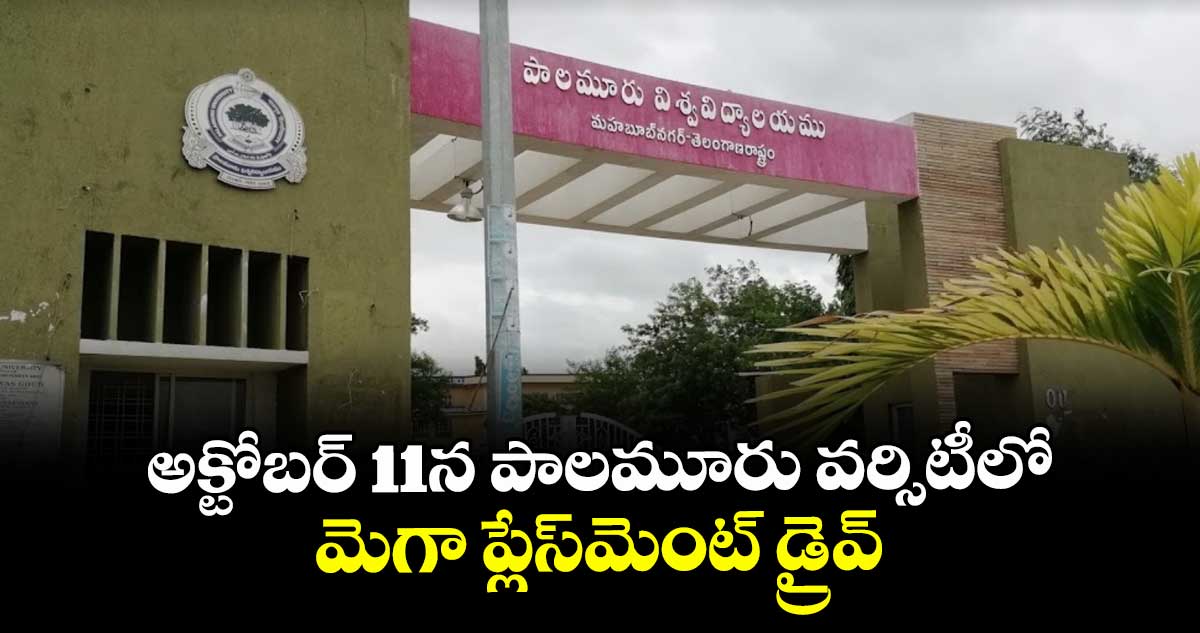 అక్టోబర్ 11న పాలమూరు వర్సిటీలో మెగా ప్లేస్మెంట్ డ్రైవ్