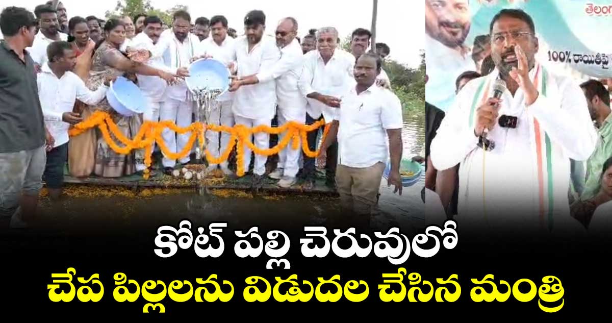 కోట్ పల్లి చెరువులో చేప పిల్లలను విడుదల చేసిన మంత్రి వాకిటి