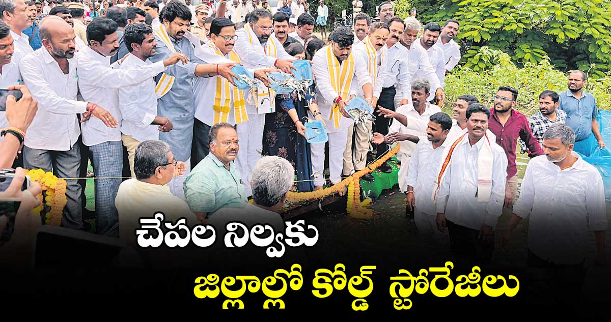 చేపల నిల్వకు జిల్లాల్లో కోల్డ్  స్టోరేజీలు : మంత్రి వాకిటి శ్రీహరి