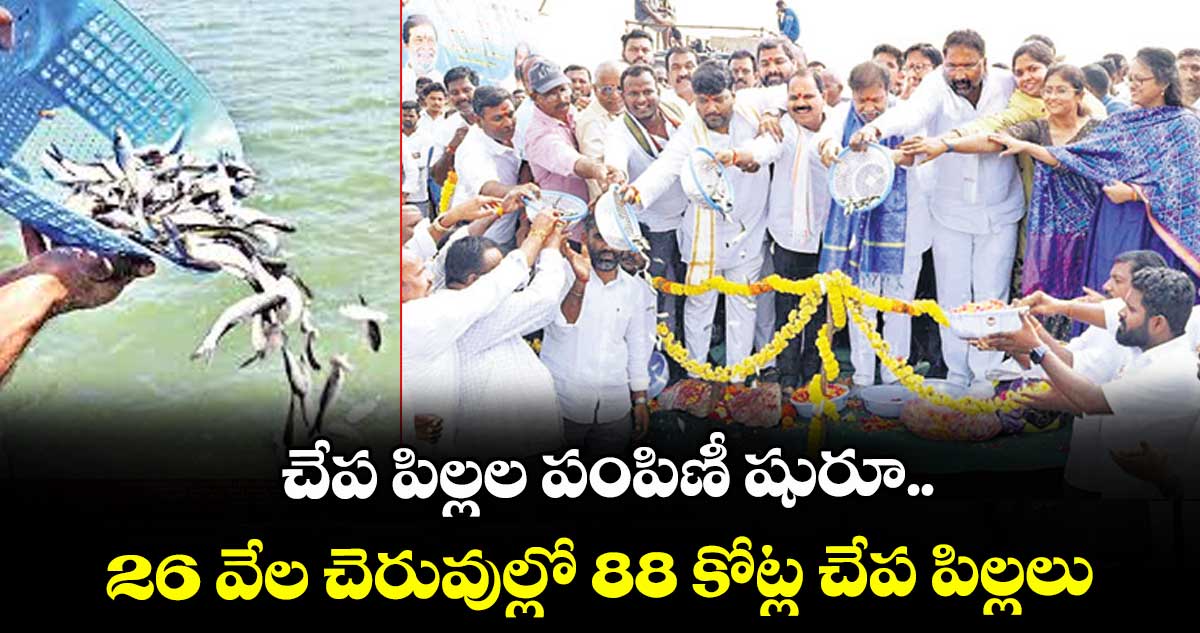 చేప పిల్లల పంపిణీ షురూ.. 26 వేల చెరువుల్లో 88 కోట్ల చేప పిల్లలు