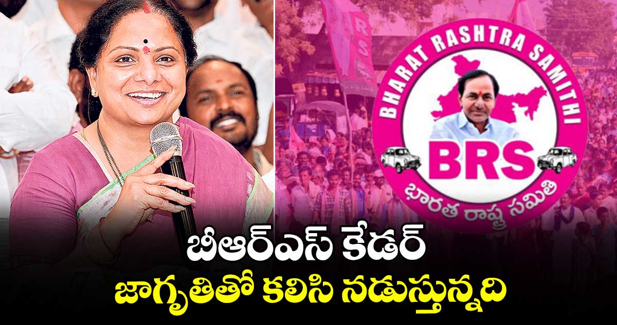 బీఆర్ఎస్ కేడర్.. జాగృతితో కలిసి  నడుస్తున్నది: కవిత