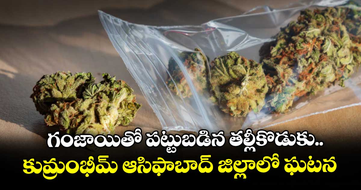 గంజాయితో పట్టుబడిన తల్లీకొడుకు.. కుమ్రంభీమ్ ఆసిఫాబాద్ జిల్లాలో ఘటన