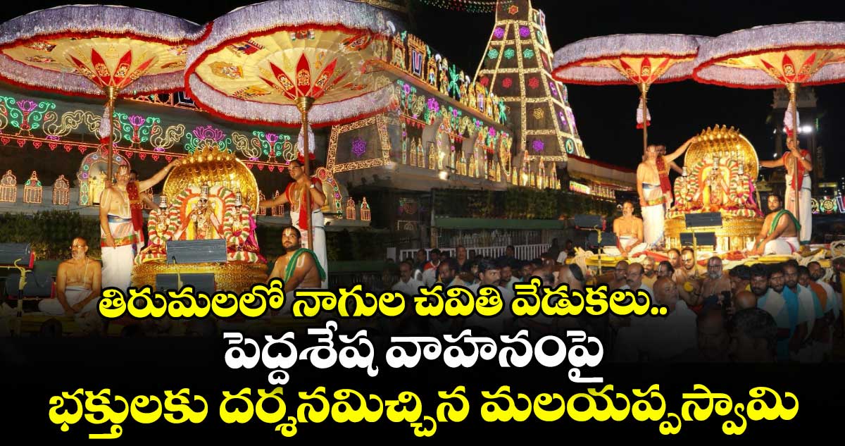 తిరుమలలో నాగుల చవితి వేడుకలు.. పెద్దశేష వాహనంపై భక్తులకు దర్శనమిచ్చిన మలయప్పస్వామి