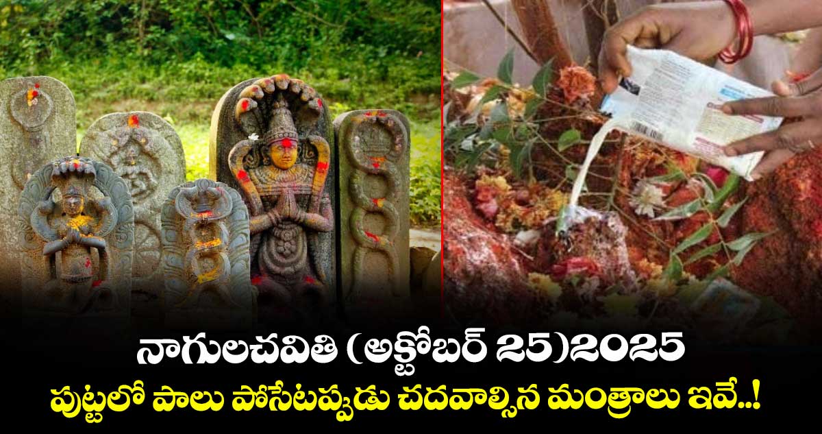 నాగులచవితి ( అక్టోబర్ 25)2025 : పుట్టలో పాలు పోసేటప్పుడు చదవాల్సిన మంత్రాలు ఇవే..!