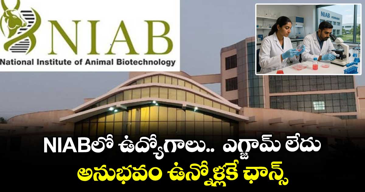 NIABలో ఉద్యోగాలు..  ఎగ్జామ్ లేదు.. అనుభవం ఉన్నోళ్లకే ఛాన్స్..