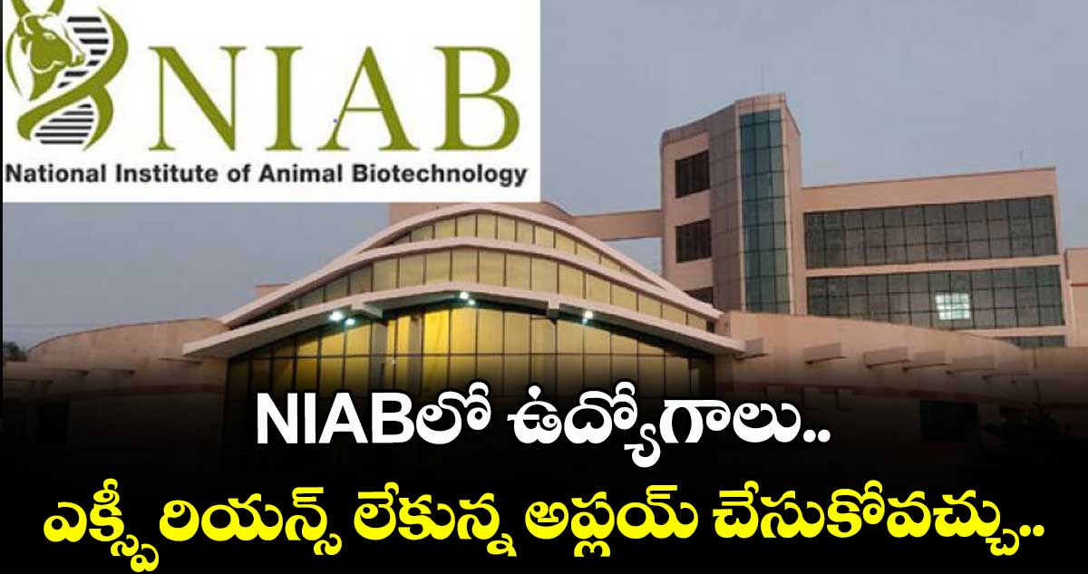NIABలో ఉద్యోగాలు.. ఎక్స్పీరియన్స్ లేకున్న అప్లయ్ చేసుకోవచ్చు.. 