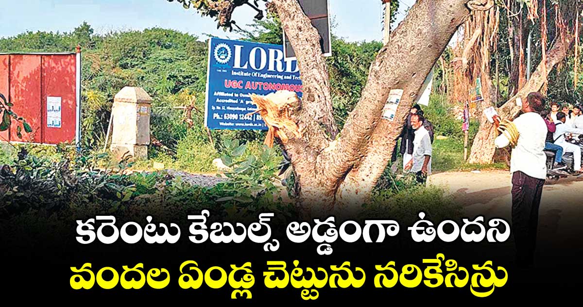 కరెంటు కేబుల్స్ అడ్డంగా ఉందని...  వందల ఏండ్ల చెట్టును నరికేసిన్రు
