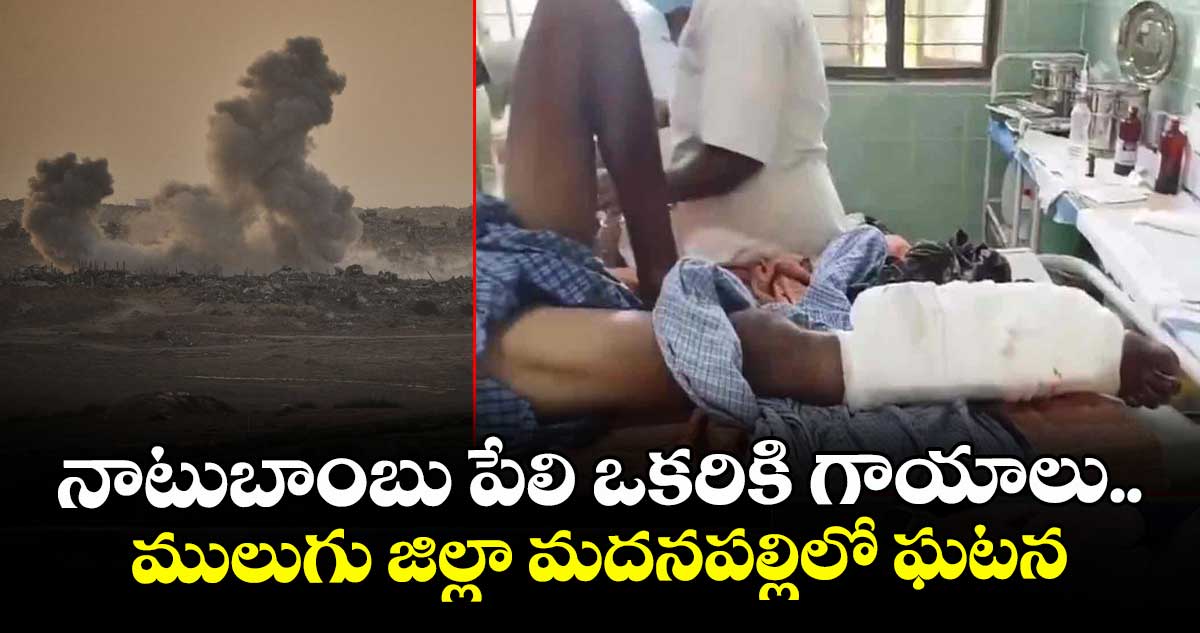 నాటుబాంబు పేలి ఒకరికి గాయాలు.. ములుగు జిల్లా మదనపల్లిలో ఘటన