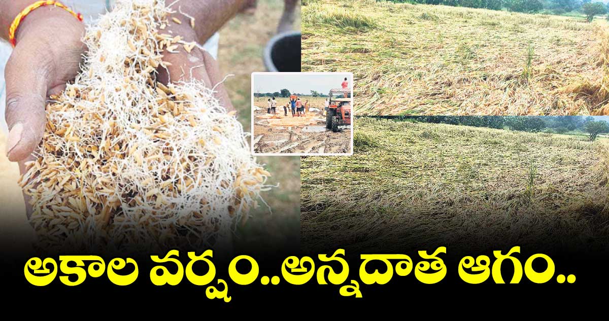 అకాల వర్షం..అన్నదాత ఆగం..