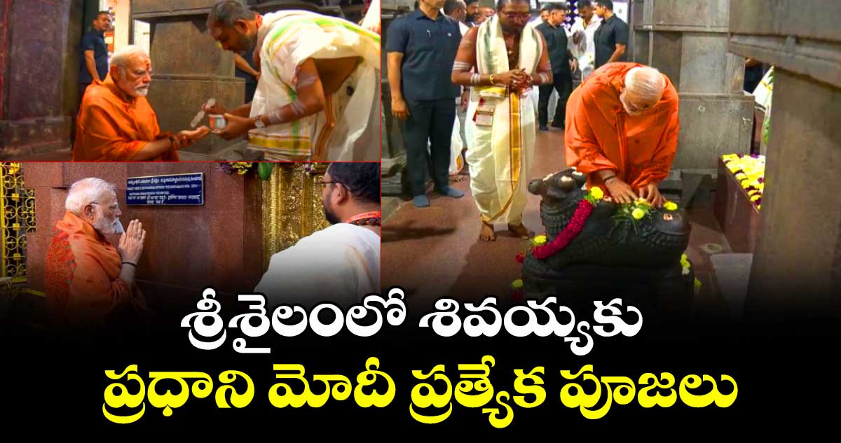 శ్రీశైలంలో శివయ్యకు ప్రధాని మోదీ ప్రత్యేక పూజలు