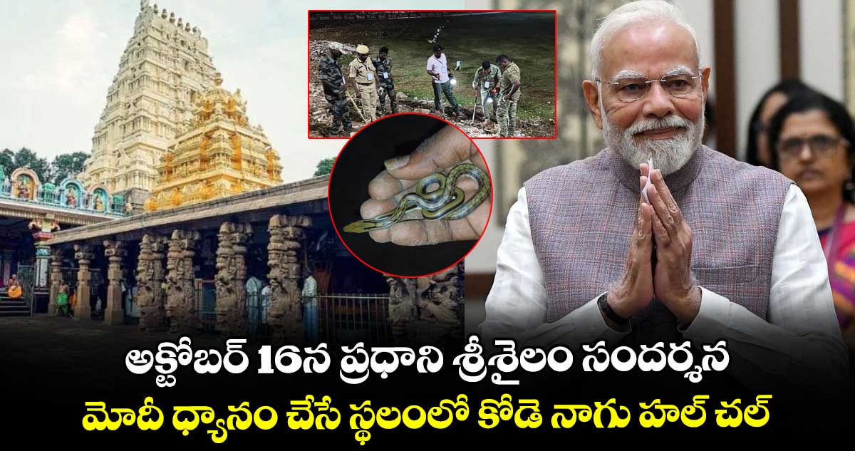 అక్టోబర్ 16న ప్రధాని శ్రీశైలం సందర్శన.. మోదీ ధ్యానం చేసే స్థలంలో కోడె నాగు హల్ చల్..