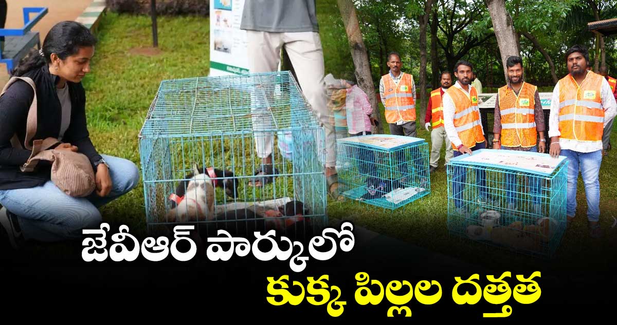 జేవీఆర్ పార్కులో కుక్క పిల్లల దత్తత