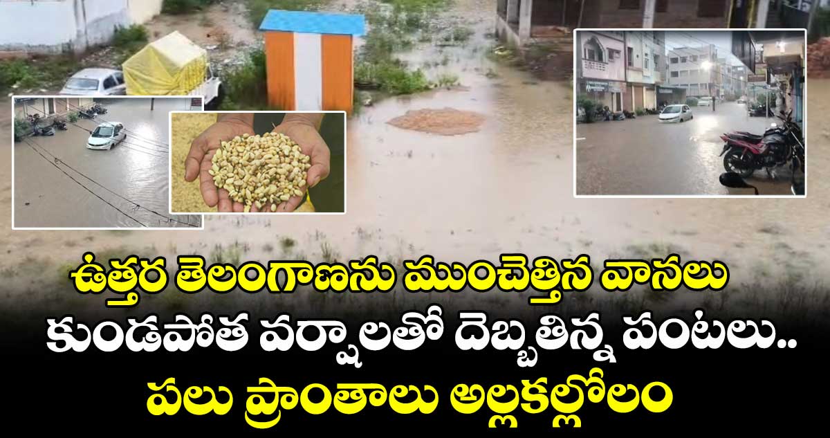 ఉత్తర తెలంగాణను ముంచెత్తిన వానలు.. కుండపోత వర్షాలతో  దెబ్బతిన్న పంటలు.. పలు ప్రాంతాలు అల్లకల్లోలం