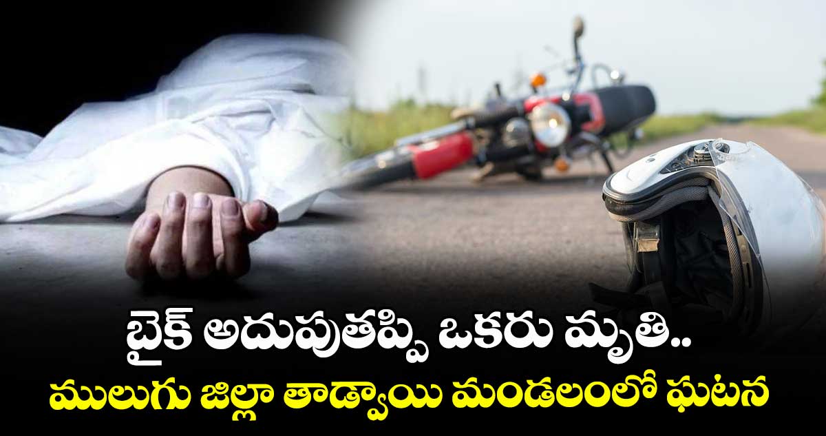 బైక్ అదుపుతప్పి ఒకరు మృతి.. ములుగు జిల్లా తాడ్వాయి మండలంలో ఘటన
