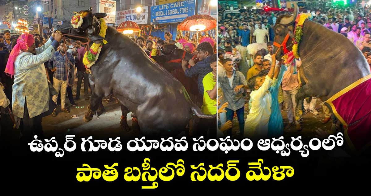 ఉప్పర్ గూడ యాదవ సంఘం ఆధ్వర్యంలో..పాత బస్తీలో సదర్ మేళా