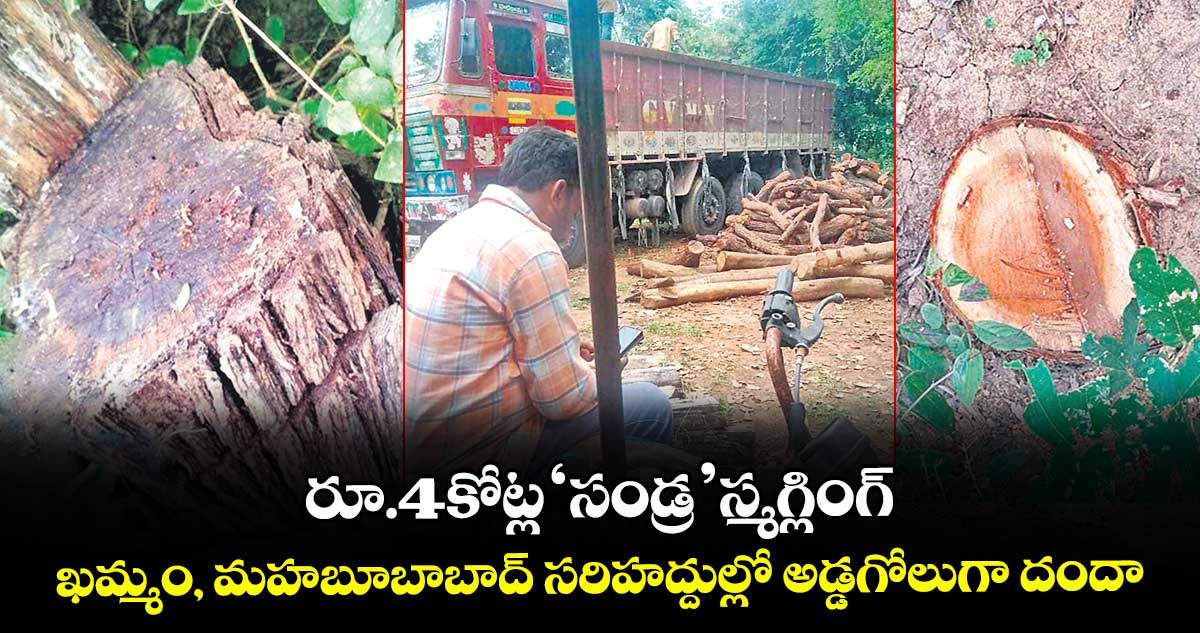 రూ.4కోట్ల ‘సండ్ర’ స్మగ్లింగ్.. ఖమ్మం, మహబూబాబాద్ సరిహద్దుల్లో అడ్డగోలుగా దందా