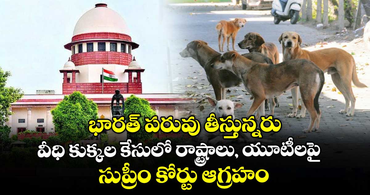 భారత్ పరువు తీస్తున్నరు: వీధి కుక్కల కేసులో రాష్ట్రాలు, యూటీలపై సుప్రీం కోర్టు ఆగ్రహం