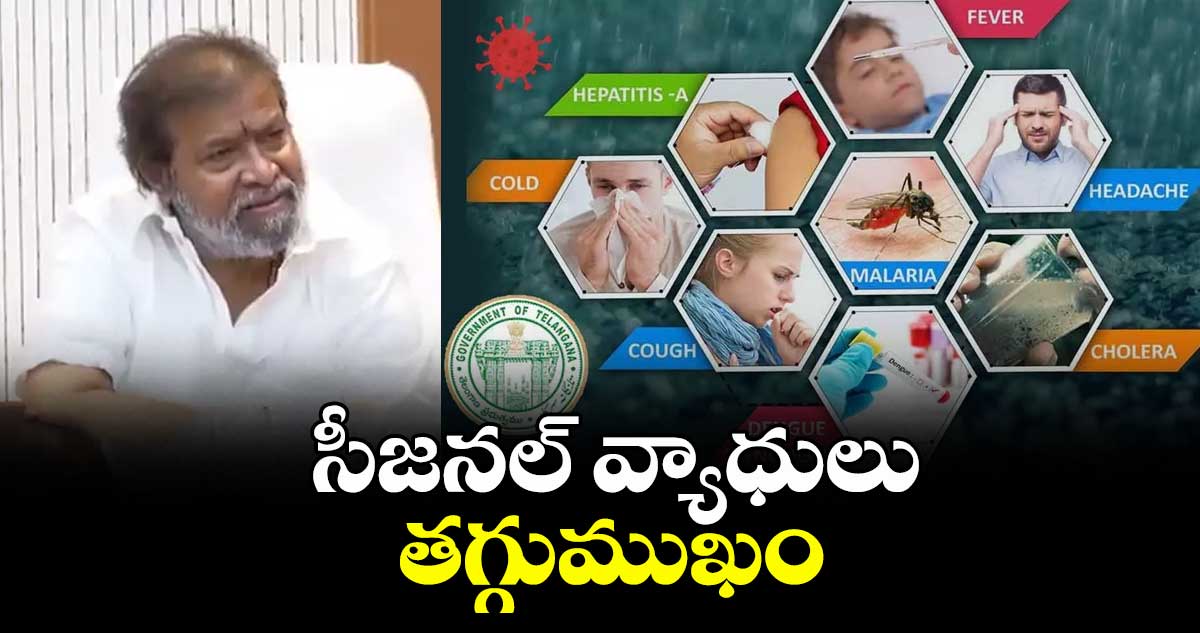 సీజనల్ వ్యాధులు తగ్గుముఖం : మంత్రి దామోదర