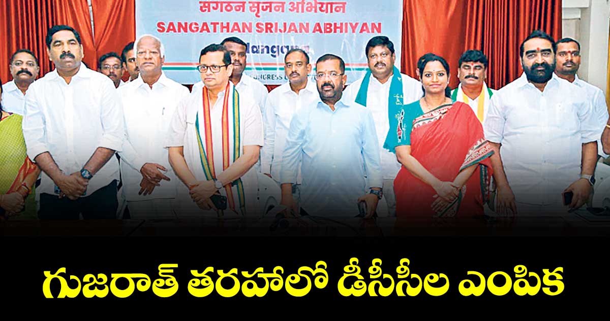 గుజరాత్ తరహాలో డీసీసీల ఎంపిక : ఏఐసీసీ అబ్జర్వర్ నవజ్యోతి పట్నాయక్