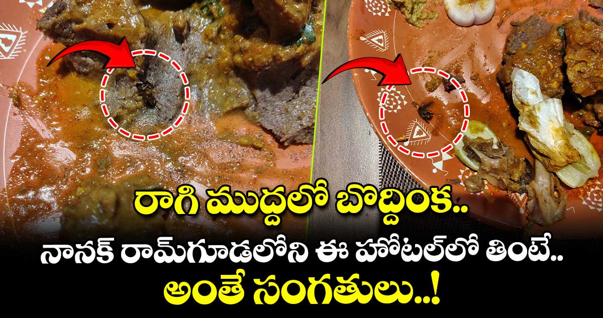 రాగి ముద్దలో బొద్దింక.. నానక్ రామ్‎గూడలోని ఈ హోటల్‎లో తింటే అంతే సంగతులు..!