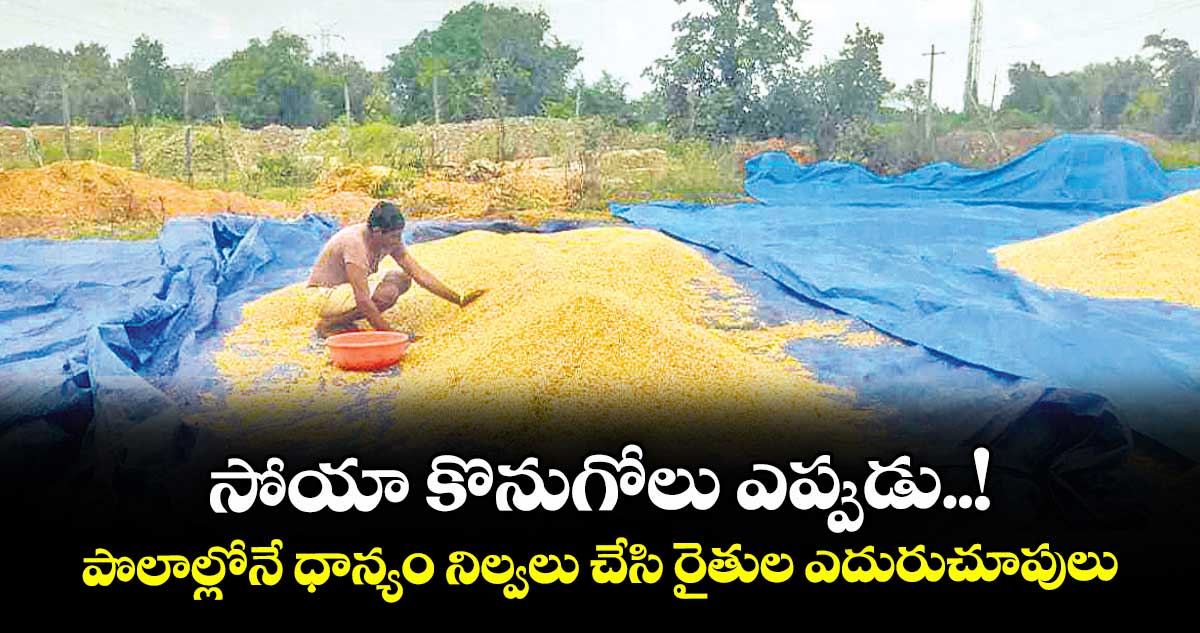సోయా కొనుగోలు ఎప్పుడు..! ..పొలాల్లోనే ధాన్యం నిల్వలు చేసి రైతుల ఎదురుచూపులు