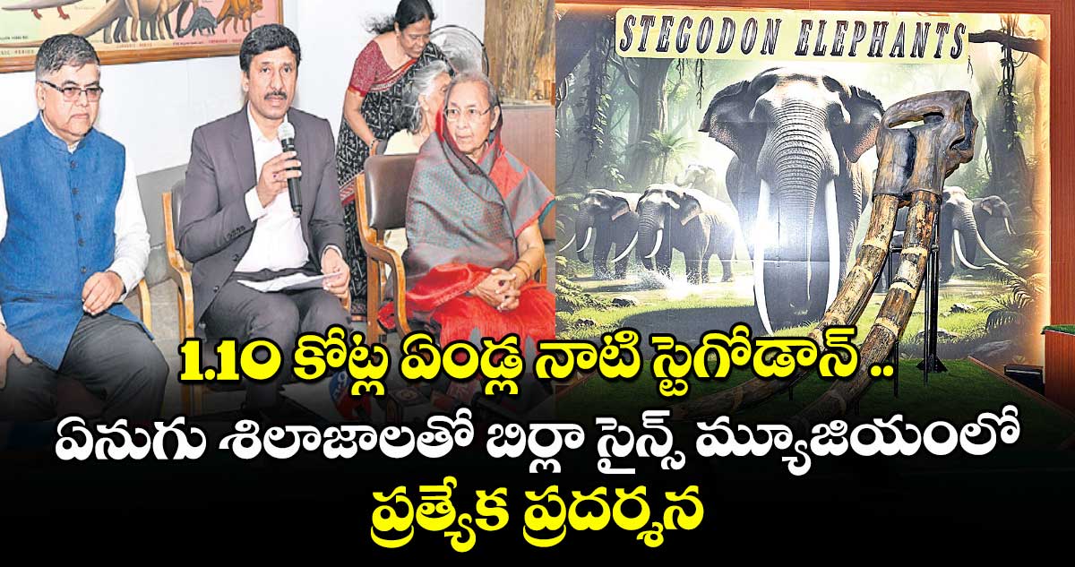 1.10 కోట్ల ఏండ్ల నాటి స్టెగోడాన్ .. ఏనుగు శిలాజాలతో బిర్లా సైన్స్ మ్యూజియంలో ప్రత్యేక ప్రదర్శన