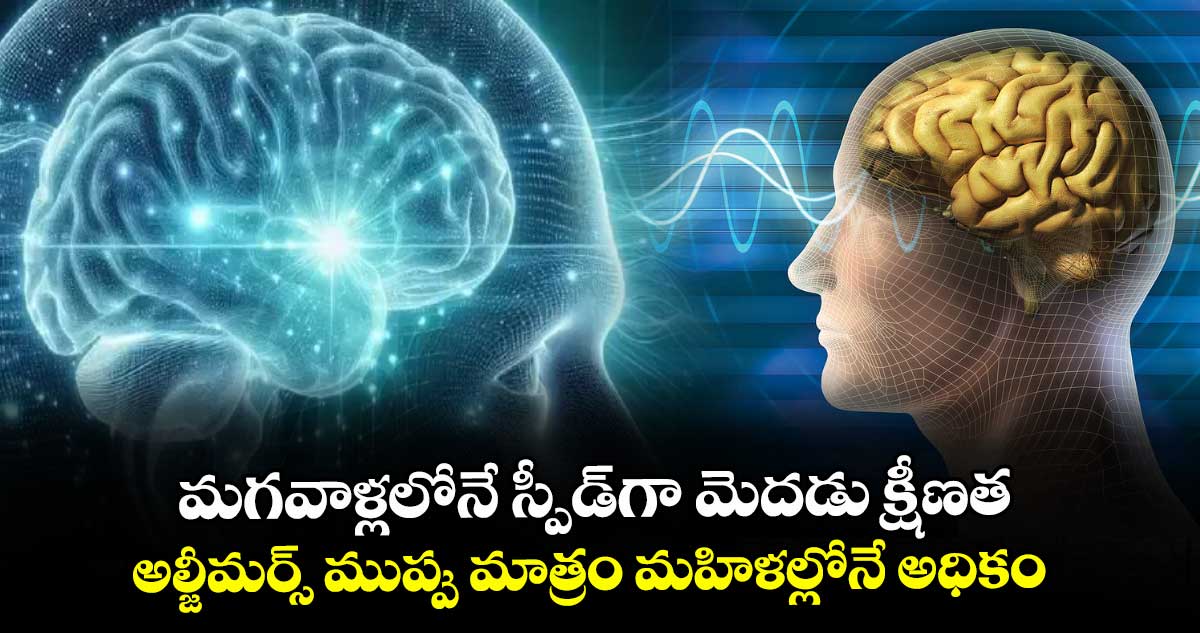 మగవాళ్లలోనే స్పీడ్గా మెదడు క్షీణత..అల్జీమర్స్ ముప్పు మాత్రం మహిళల్లోనే అధికం : యూనివర్సిటీ ఆఫ్ ఓస్లో రీసెర్చర్లు