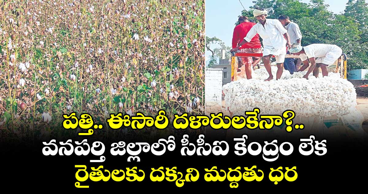 పత్తి.. ఈసారీ దళారులకేనా?.. వనపర్తి జిల్లాలో సీసీఐ కేంద్రం లేక రైతులకు దక్కని మద్దతు ధర