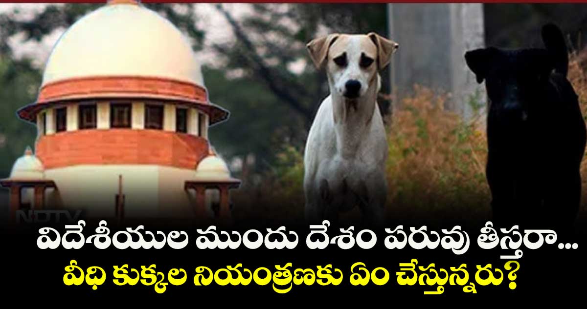 విదేశీయుల ముందు దేశం పరువు తీస్తరా...వీధి కుక్కల నియంత్రణకు ఏం చేస్తున్నరు?