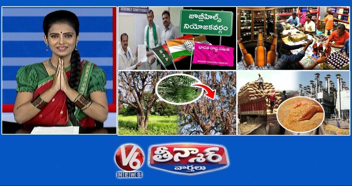 10 నామినేషన్లు-జూబ్లీ హిల్స్ ఉప ఎన్నిక | వైన్ షాపు టెండర్లు | వేప చెట్లు-డైబ్యాక్ వ్యాధి | V6 తీన్మార్