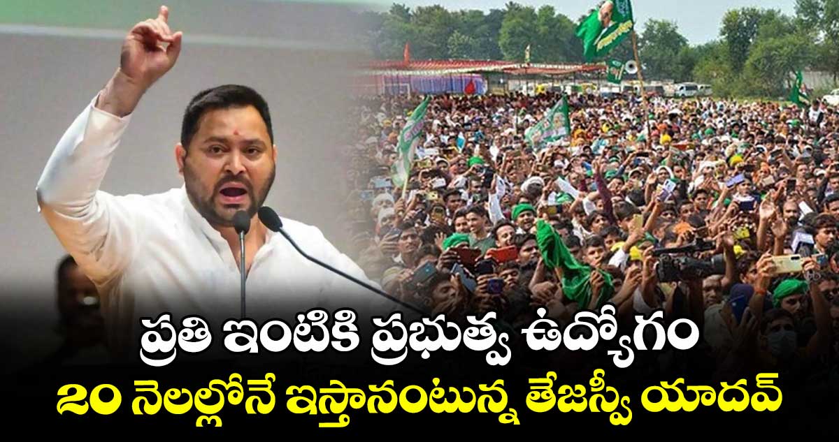 ప్రతి ఇంటికి ప్రభుత్వ ఉద్యోగం : 20 నెలల్లోనే ఇస్తానంటున్న తేజస్వీ యాదవ్