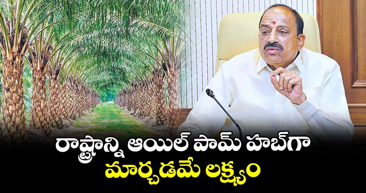 రాష్ట్రాన్ని ఆయిల్‌‌ పామ్‌‌ హబ్‌‌గా మార్చడమే లక్ష్యం : మంత్రి తుమ్మల నాగేశ్వరరావు 