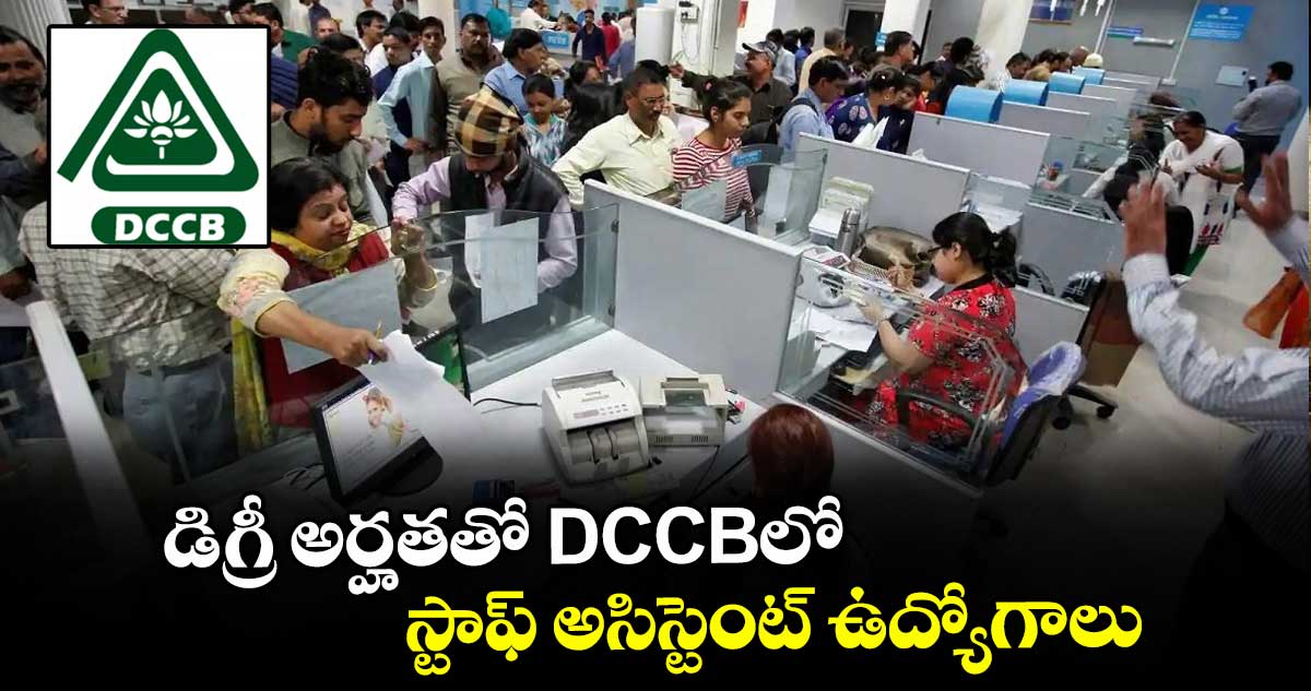 డిగ్రీ అర్హతతో DCCBలో స్టాఫ్ అసిస్టెంట్ ఉద్యోగాలు..