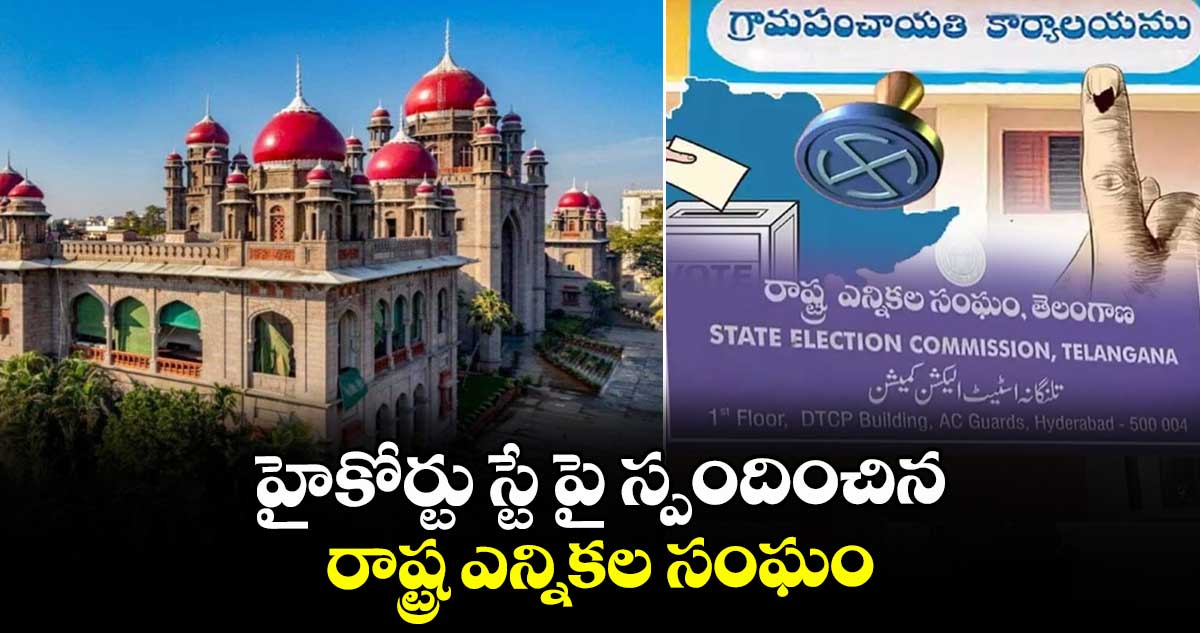 హైకోర్టు స్టే పై స్పందించిన రాష్ట్ర ఎన్నికల సంఘం