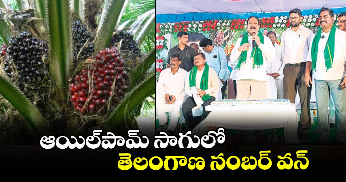 ఆయిల్‌‌పామ్‌‌ సాగులో తెలంగాణ నంబర్‌‌ వన్‌‌ : మంత్రి తుమ్మల నాగేశ్వరరావు