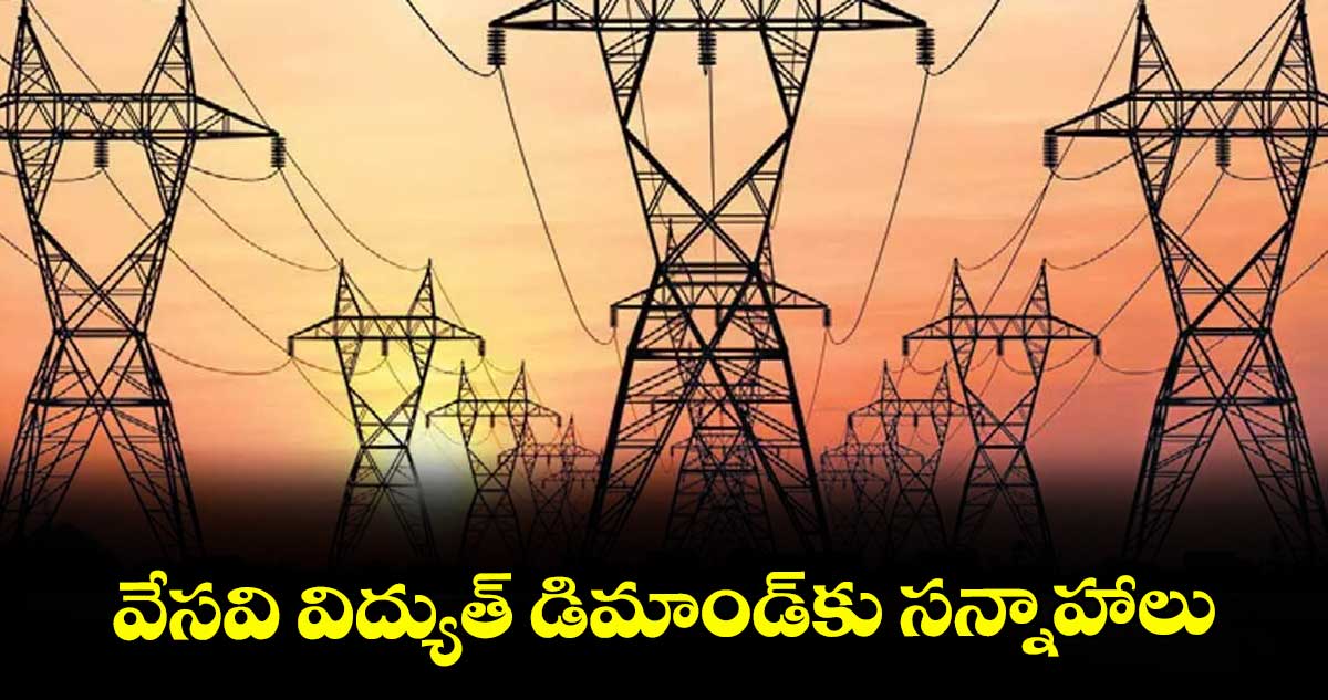 వేసవి విద్యుత్ డిమాండ్కు సన్నాహాలు