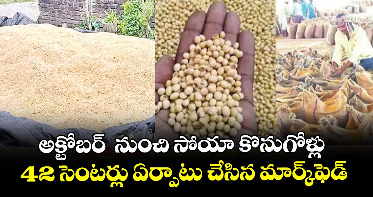 అక్టోబర్  నుంచి సోయా కొనుగోళ్లు 42 సెంటర్లు ఏర్పాటు చేసిన మార్క్ఫెడ్